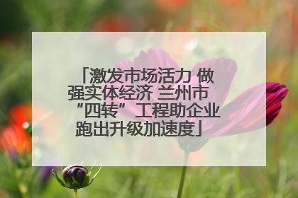 激发市场活力 做强实体经济 兰州市“四转”工程助企业跑出升级加速度