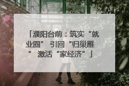 濮阳台前：筑实“就业圈” 引回“归巢雁” 激活“家经济”