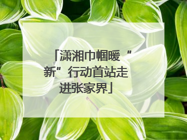 潇湘巾帼暖“新”行动首站走进张家界