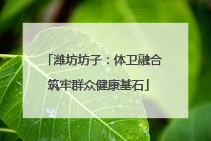 潍坊坊子：体卫融合筑牢群众健康基石