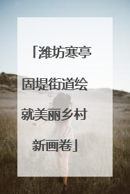 潍坊寒亭固堤街道绘就美丽乡村新画卷