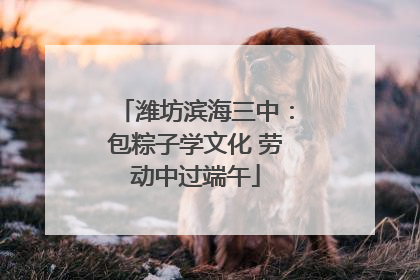 潍坊滨海三中：包粽子学文化 劳动中过端午