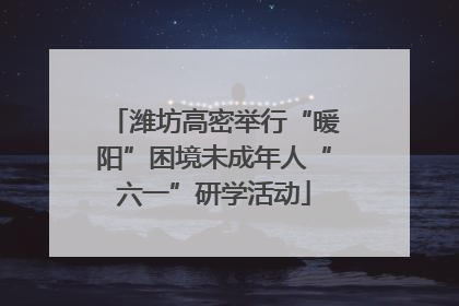 潍坊高密举行“暖阳”困境未成年人“六一”研学活动