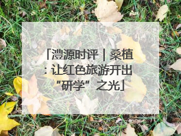 澧源时评｜桑植：让红色旅游开出“研学”之光