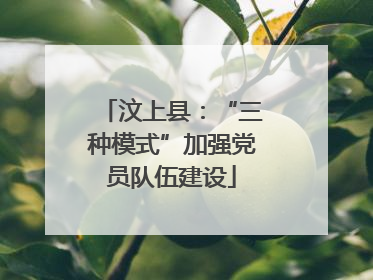 汶上县：“三种模式”加强党员队伍建设