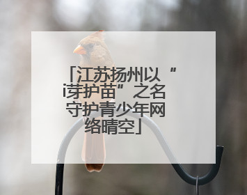 江苏扬州以“i芽护苗”之名 守护青少年网络晴空
