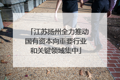 江苏扬州全力推动国有资本向重要行业和关键领域集中