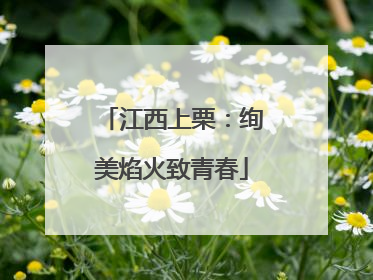 江西上栗：绚美焰火致青春