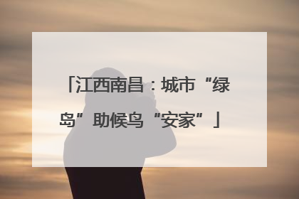 江西南昌：城市“绿岛”助候鸟“安家”