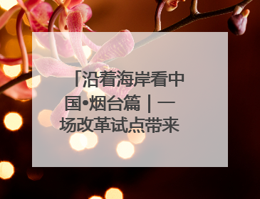 沿着海岸看中国•烟台篇｜一场改革试点带来的变化