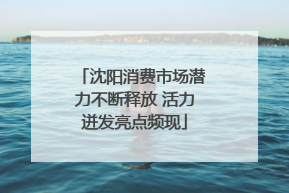 沈阳消费市场潜力不断释放 活力迸发亮点频现
