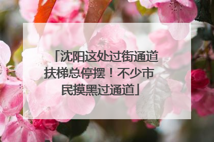 沈阳这处过街通道扶梯总停摆！不少市民摸黑过通道