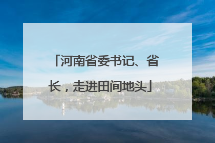 河南省委书记、省长，走进田间地头