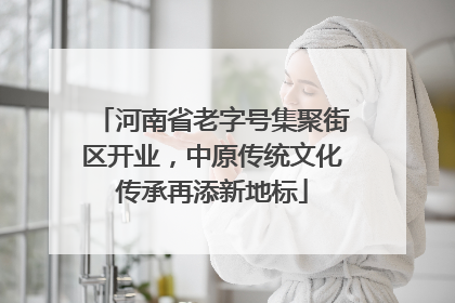 河南省老字号集聚街区开业，中原传统文化传承再添新地标
