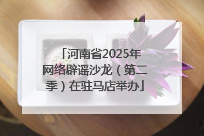 河南省2025年网络辟谣沙龙（第二季）在驻马店举办
