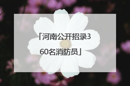 河南公开招录360名消防员