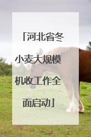 河北省冬小麦大规模机收工作全面启动
