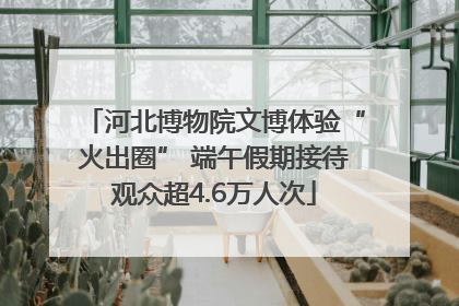 河北博物院文博体验“火出圈” 端午假期接待观众超4.6万人次