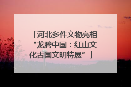河北多件文物亮相“龙腾中国：红山文化古国文明特展”