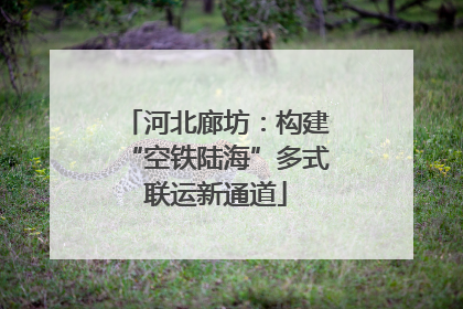 河北廊坊：构建“空铁陆海”多式联运新通道