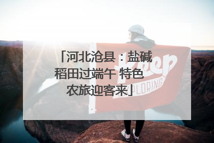 河北沧县：盐碱稻田过端午 特色农旅迎客来