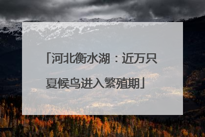 河北衡水湖：近万只夏候鸟进入繁殖期