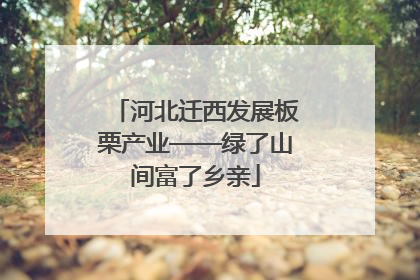 河北迁西发展板栗产业——绿了山间富了乡亲