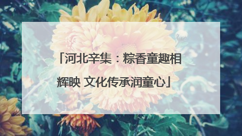 河北辛集：粽香童趣相辉映 文化传承润童心