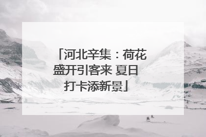 河北辛集：荷花盛开引客来 夏日打卡添新景