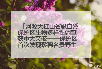 河源大桂山省级自然保护区生物多样性调查获重大突破——保护区首次发现珍稀名贵野生干巴菌与钝尾两头蛇