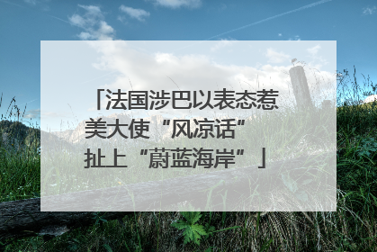 法国涉巴以表态惹美大使“风凉话” 扯上“蔚蓝海岸”