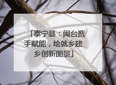 泰宁县：闽台携手赋能，绘就乡建乡创新图景