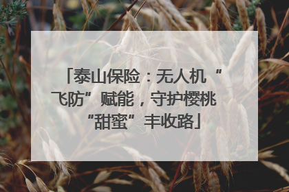 泰山保险：无人机“飞防”赋能，守护樱桃“甜蜜”丰收路
