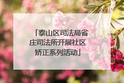 泰山区司法局省庄司法所开展社区矫正系列活动