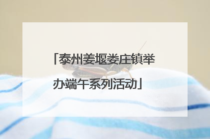 泰州姜堰娄庄镇举办端午系列活动