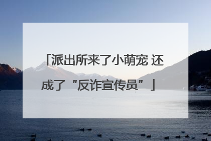 派出所来了小萌宠 还成了“反诈宣传员”