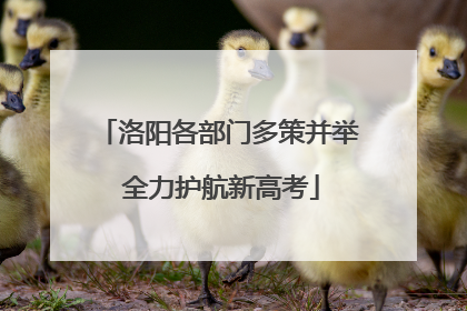 洛阳各部门多策并举 全力护航新高考