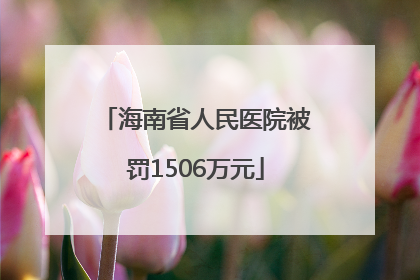 海南省人民医院被罚1506万元