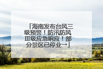 海南发布台风三级预警！防汛防风Ⅲ级应急响应！部分景区已停业→