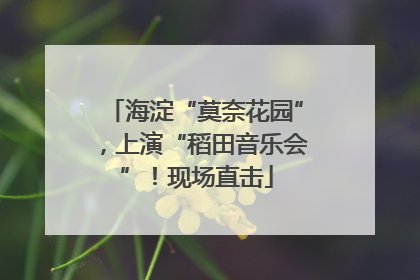 海淀“莫奈花园”，上演“稻田音乐会”！现场直击