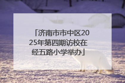 济南市市中区2025年第四期访校在经五路小学举办