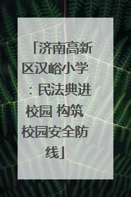 济南高新区汉峪小学：民法典进校园 构筑校园安全防线