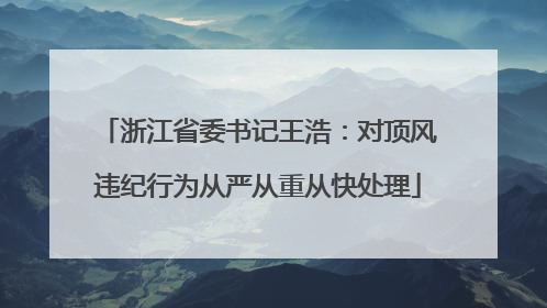 浙江省委书记王浩：对顶风违纪行为从严从重从快处理