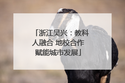 浙江吴兴：教科人融合 地校合作赋能城市发展