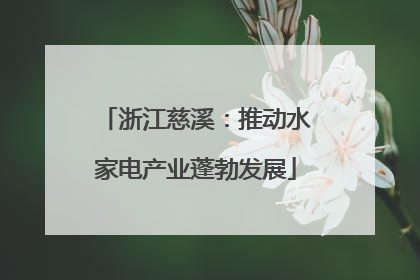 浙江慈溪：推动水家电产业蓬勃发展