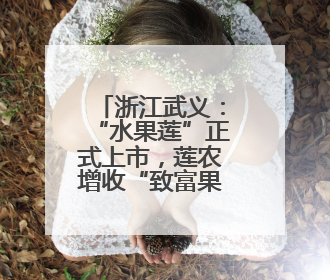 浙江武义：“水果莲”正式上市，莲农增收“致富果”注活力