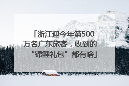浙江迎今年第500万名广东旅客，收到的“锦鲤礼包”都有啥