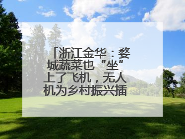浙江金华：婺城蔬菜也“坐”上了飞机，无人机为乡村振兴插上“翅膀”