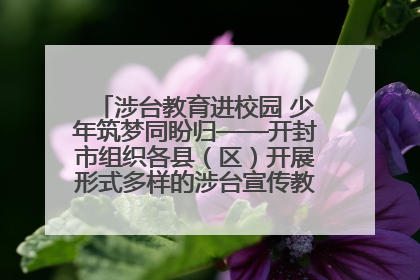涉台教育进校园 少年筑梦同盼归——开封市组织各县（区）开展形式多样的涉台宣传教育进校园活动