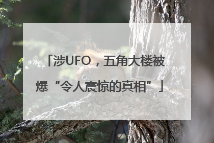 涉UFO，五角大楼被爆“令人震惊的真相”